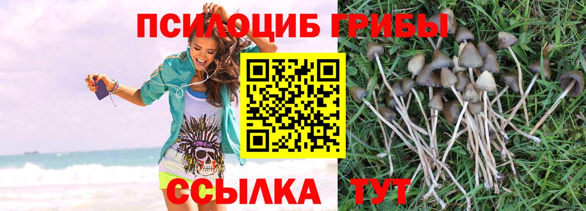 Галлюциногенные грибы Magic Shrooms Советский